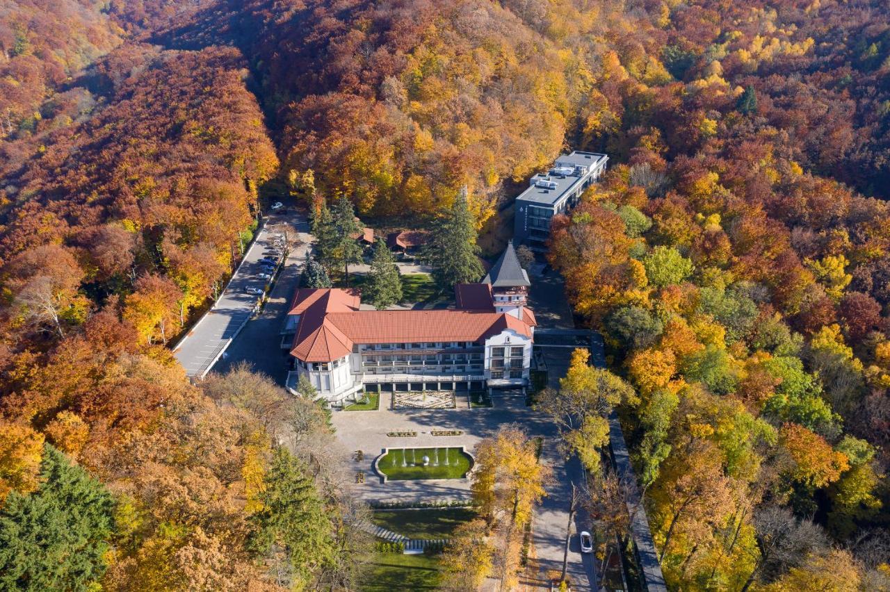 Verkhovyna Resort Medical & Wellness Kamenitsa Esterno foto