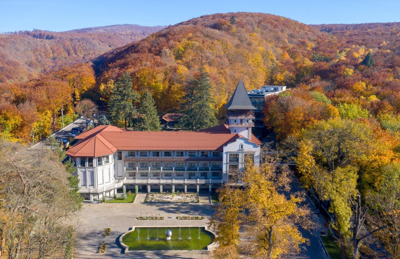 Verkhovyna Resort Medical & Wellness Kamenitsa Esterno foto